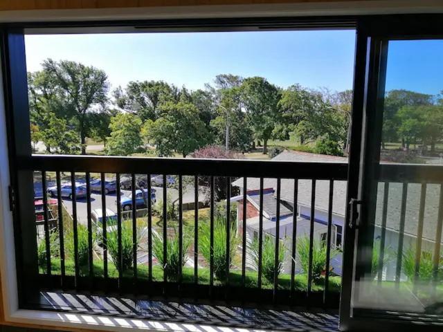 Cozy 1Br Apartment With Hagley Park View Christchurch Eksteriør bilde